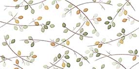 Sprout